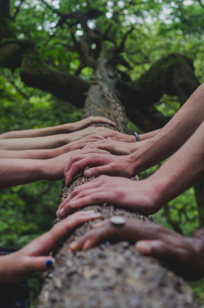 Veterans connecting outdoors while balancing on a log together